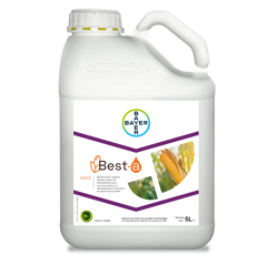 BEST-A Maïs : Solution anti-stress hydrique pour maïs