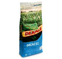 Maïs grain 320 - DKC4231
