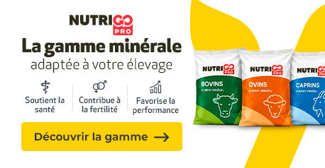 AGRYCO_NUTRITION_gamme-minerale_100926