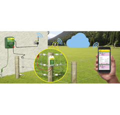 Alarme clôtures connectée - PATURA