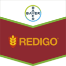 REDIGO | Traitement semence