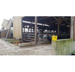 Piège à mouches - APPIBUSTER PRO - Lutte contre les mouches et moucherons | Bestico