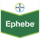 EPHEBE | Fongicide Systémique