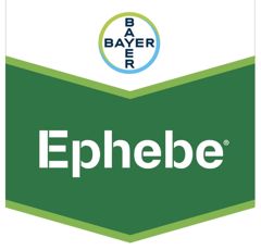 EPHEBE | Fongicide Systémique