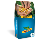 Saatmais - DKC2684 (S210 K190) DEKALB