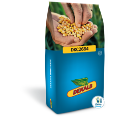 Saatmais - DKC2684 (S210 K190) DEKALB