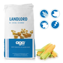 Saatmais - Landlord (S220 K220) AGASAAT