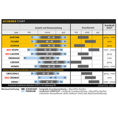 Ludger | Hybrider Winterraps