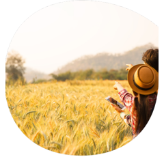 Blé tendre d'hiver - Gergovie - BIO