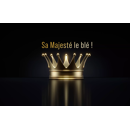 Blé tendre d'hiver - RGT Majesko