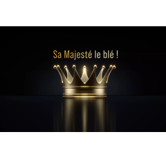 Blé tendre d'hiver - RGT Majesko