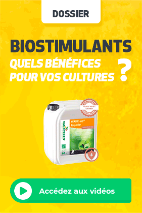 Biostimulants : Quels bénéfices pour vos cultures ?