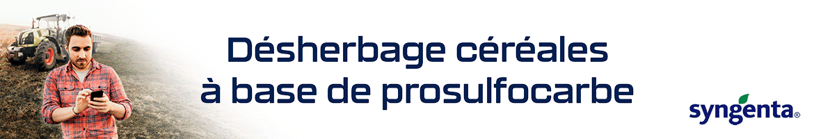 20261012_SYNGENTA_PACK_ELEVAGE