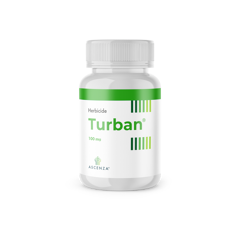 TURBAN