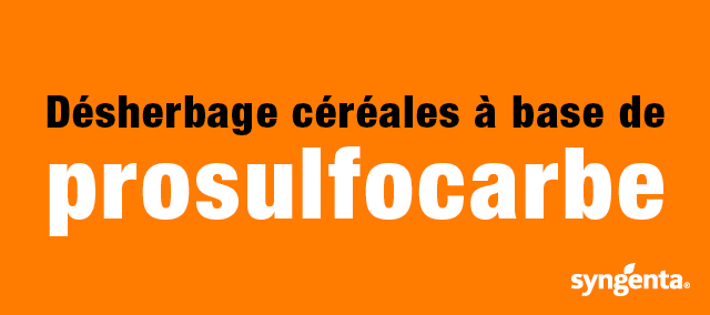 SYNGENTA_PSC_PRODUIT_092025