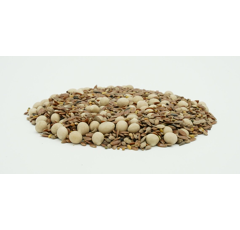 TerraLife BrassicaPro | Zwischenfruchtmischung