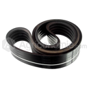 Correa trapezoidal múltiple para cosechadora CLAAS 644403 adaptable