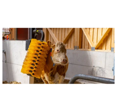 Brosse pivotante Maxi pour vaches et taureaux - PATURA