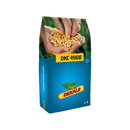 Saatmais - DKC4908 (K290) DEKALB