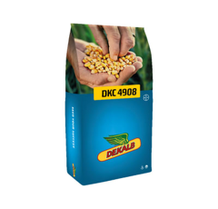 Saatmais - DKC4908 (K290) DEKALB