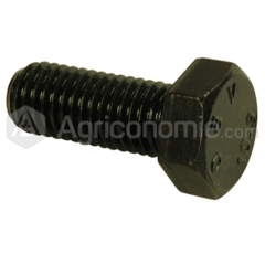 Vis tête hexagonale pour moissonneuse NEW HOLLAND 19M6119 adaptable