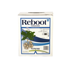 REBOOT - Mildiou déclaré