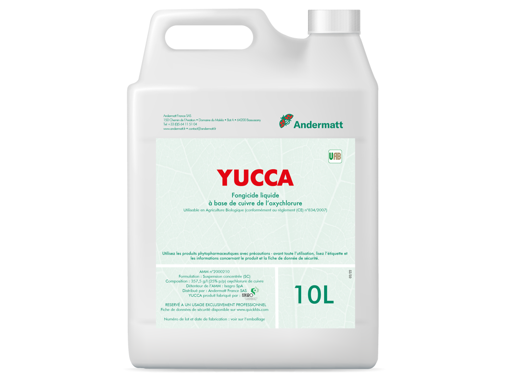Fongicide Contre Le Phoma Du Yucca