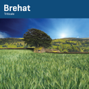 Triticale - Brehat