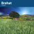 Triticale - Brehat
