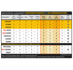 Ludger | Hybrider Winterraps
