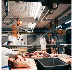 LED Stallleuchte Feuchtraumleuchte 40W 150cm