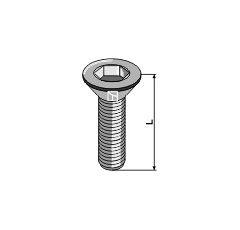 Senkschraube mit Innensechskant M16x2x55