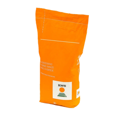 Saatmais - KWS Lupollino (S250 K240) KWS