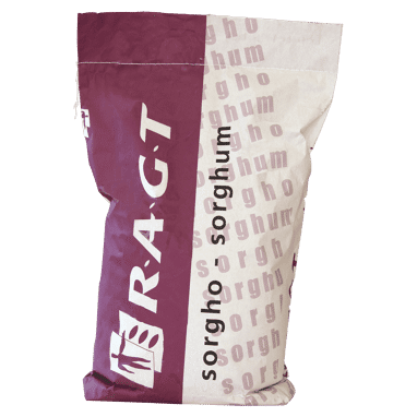 RGT Amiggo