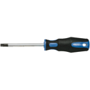 Torx Schraubenzieher T15 X 100 MM ERGOTORQUE+