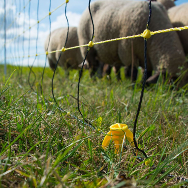 horizont filet pour moutons - horinetz energy - filet électronique