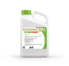 ETHOSAT SC