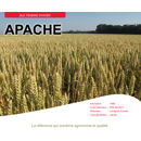 Blé tendre d'hiver - Apache - BIO