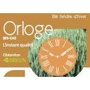 Trigo de invierno - Orloge - Aristado