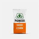 Maíz grano FAO 600 - P1332Y- TRANSGÉNICO