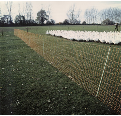 Euro-Netz Jumbo 112/2 - 50 m