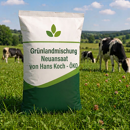 Grünlandmischung Neuansaat von Hans Koch - ÖKO