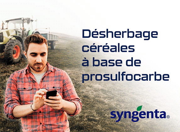 20261026_Syngenta_Home
