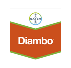 DIAMBO.