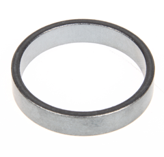 Gleitring 258005320R02 Bondioli & Pavesi Original 56