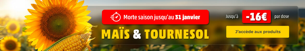 AGRICO_SEEDS_MAIS-TOURNESOL_030126