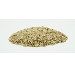 DSV Futtergreen Winter 1