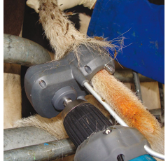 Tondeuse mk2 pour queue de vaches laitières - TAILWELL