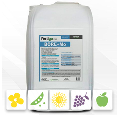 Bore + Molybdène Fertigo Pro - Liquide
