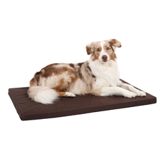 Coussin pour chien 1010 x 630 x 50 mm